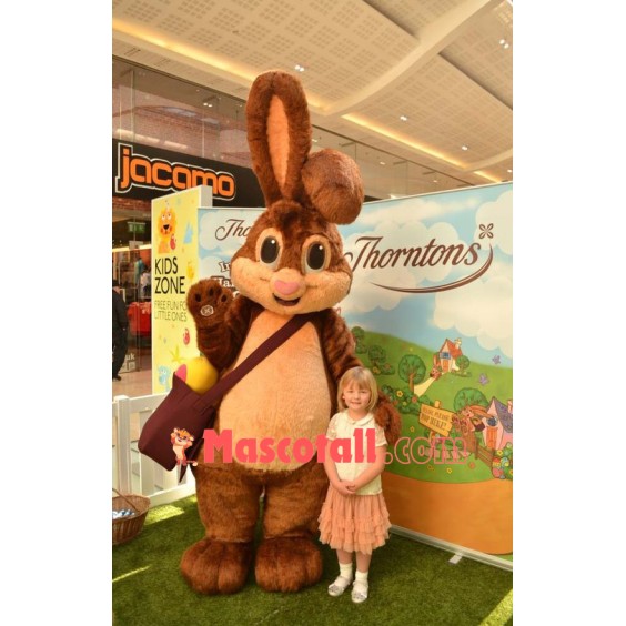 Bunny Rabbit Mascot Costume