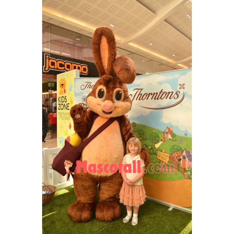 Bunny Rabbit Mascot Costume