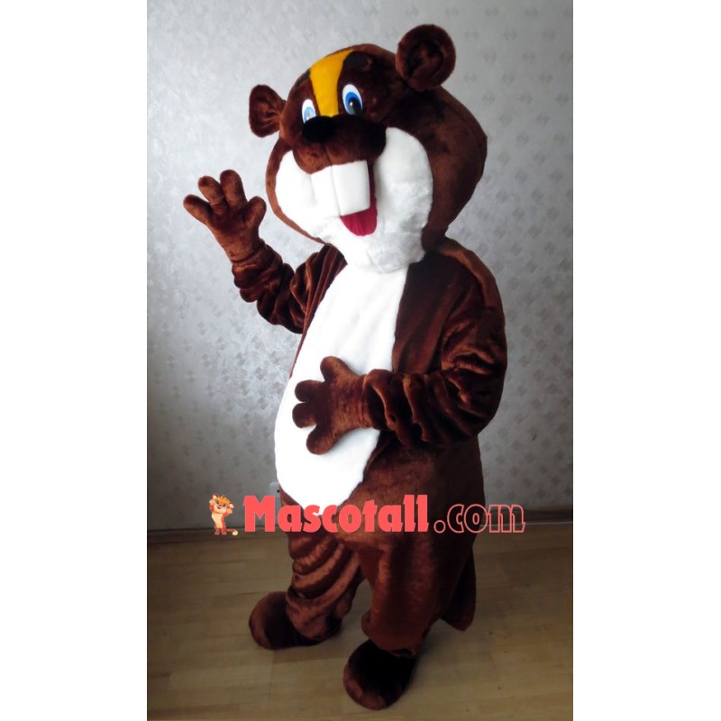 Beaver Mascot Costume 