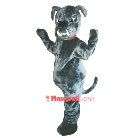 Bull Dog Mascot Costume Adult Costume