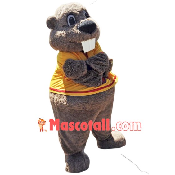 Professional Beaver Mascot Costumes