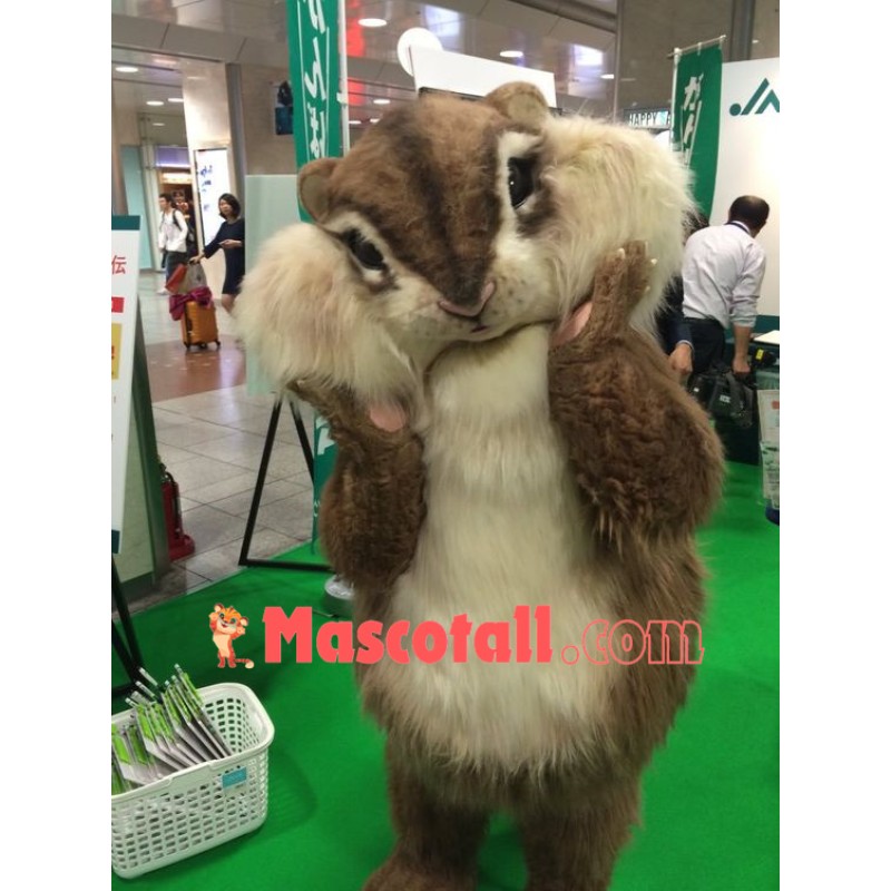 Best Quality Squirrel Mascot Costume