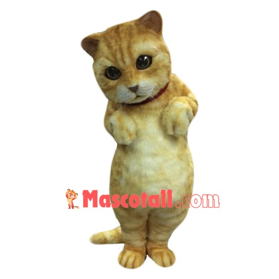 Cute Animal Cat Mascot Costume