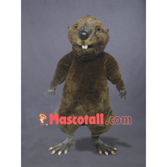 Otter Mascot Costume