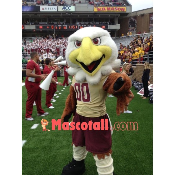 College Eagles Mascot Costume