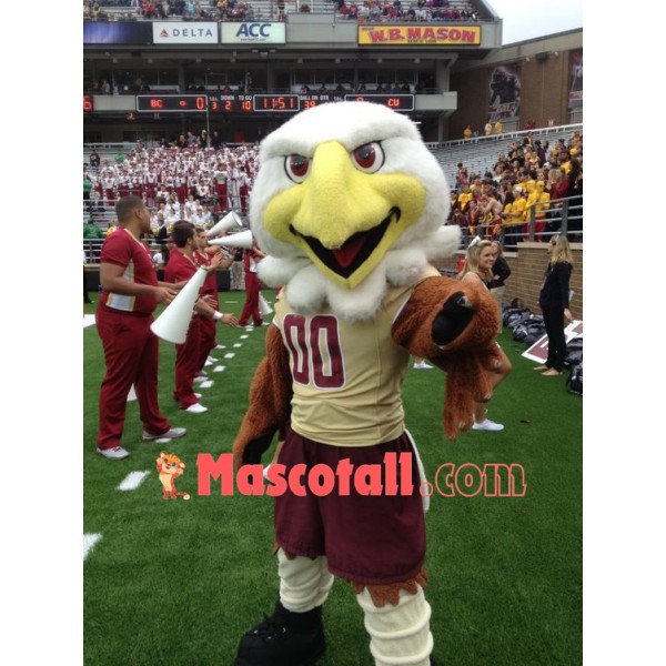 College Eagles Mascot Costume