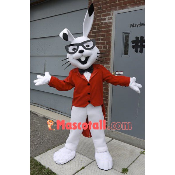 Rabbit Mascot Costume