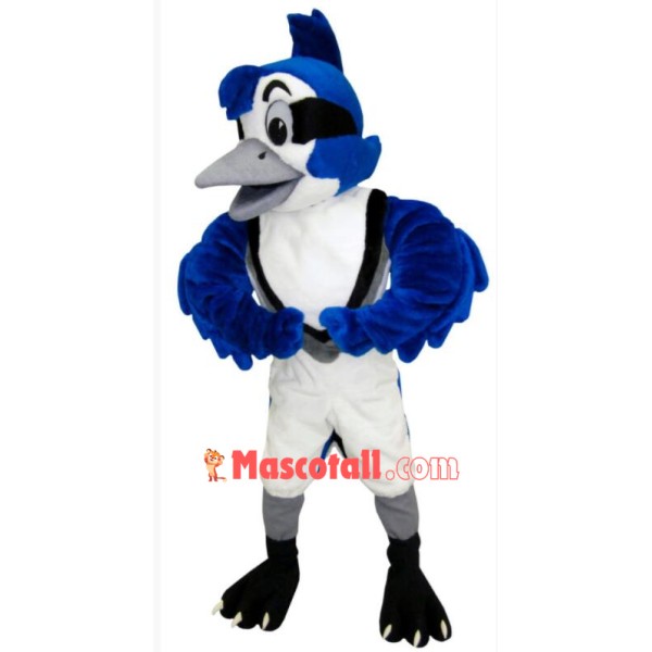 Cute Blue Jay Mascot Costume