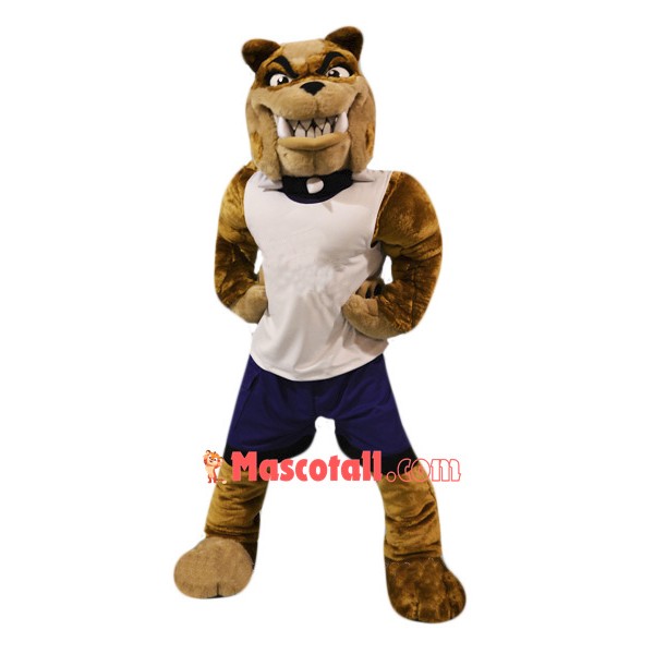 Sport Bull Dog Mascot Costume