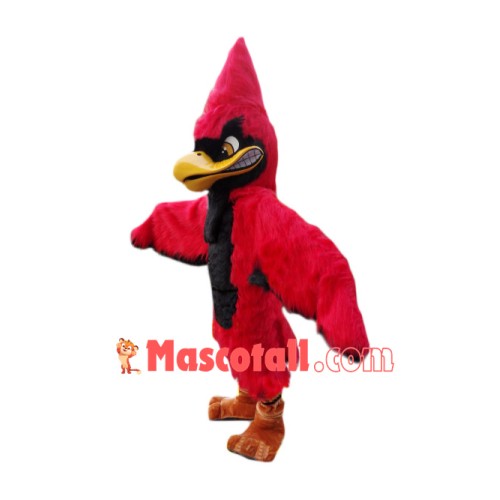 Superb Red Jay Mascot Costume