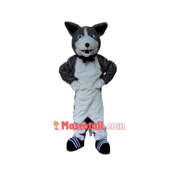 Superb Husky Mascot Costume