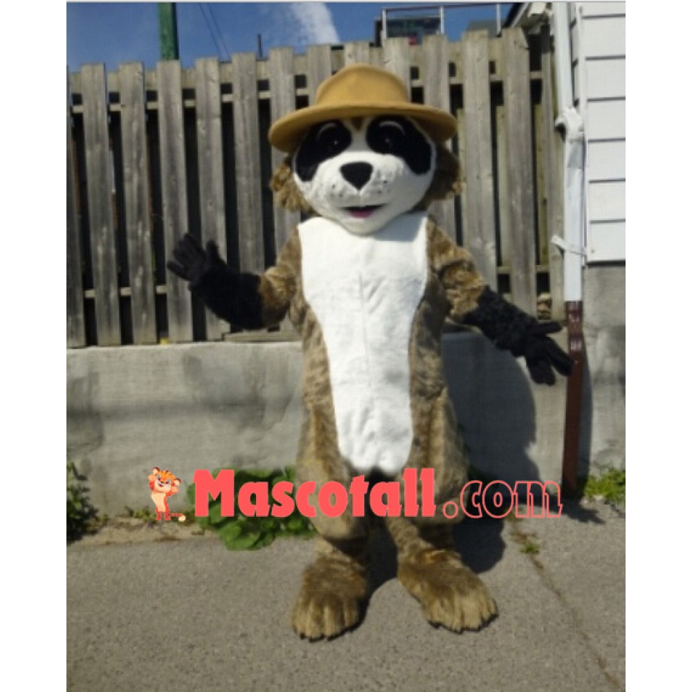 Lovely Lightweight Raccoon Mascot Costume