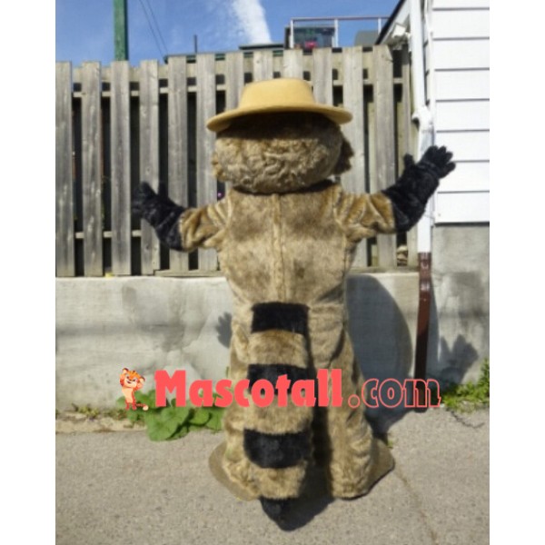 Lovely Lightweight Raccoon Mascot Costume