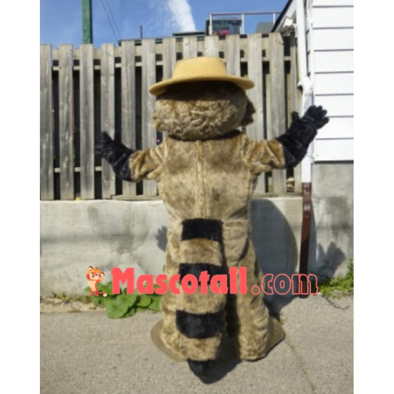 Lovely Lightweight Raccoon Mascot Costume