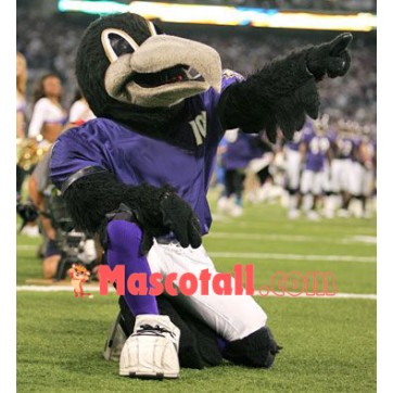 Sport Lightweight Raven Mascot Costume