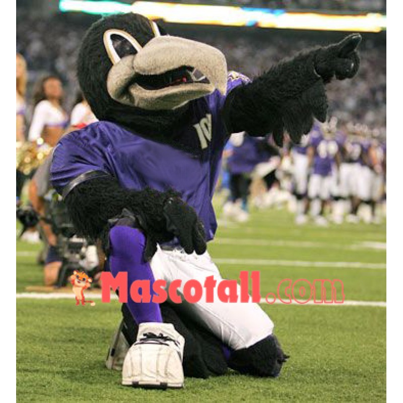 Sport Lightweight Raven Mascot Costume