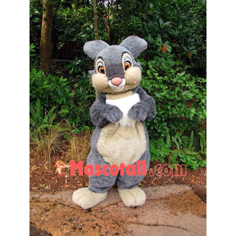 Thumper Bunny Mascot Costume