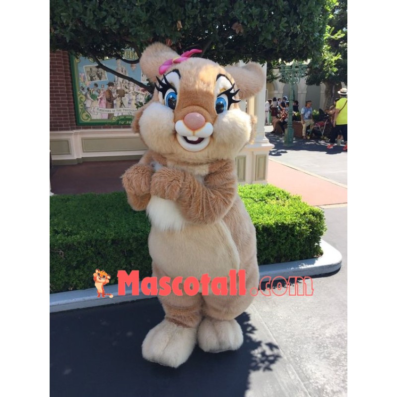 Miss Bunny Mascot Costume
