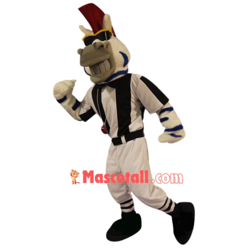 Cool Zebra Mascot Costume