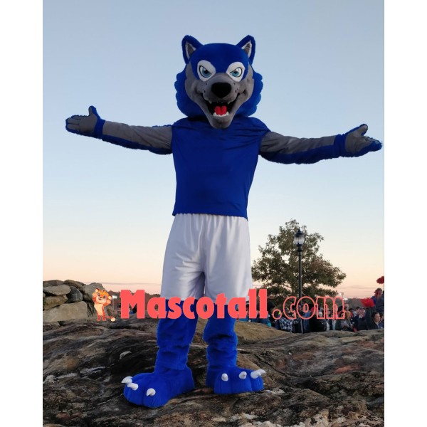 Sport Blue & Grey Wolf Mascot Costume