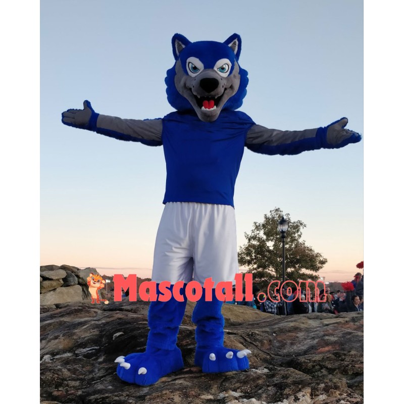 Sport Blue & Grey Wolf Mascot Costume