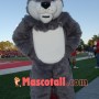 Superb Sport Grey Wolf Mascot Costume