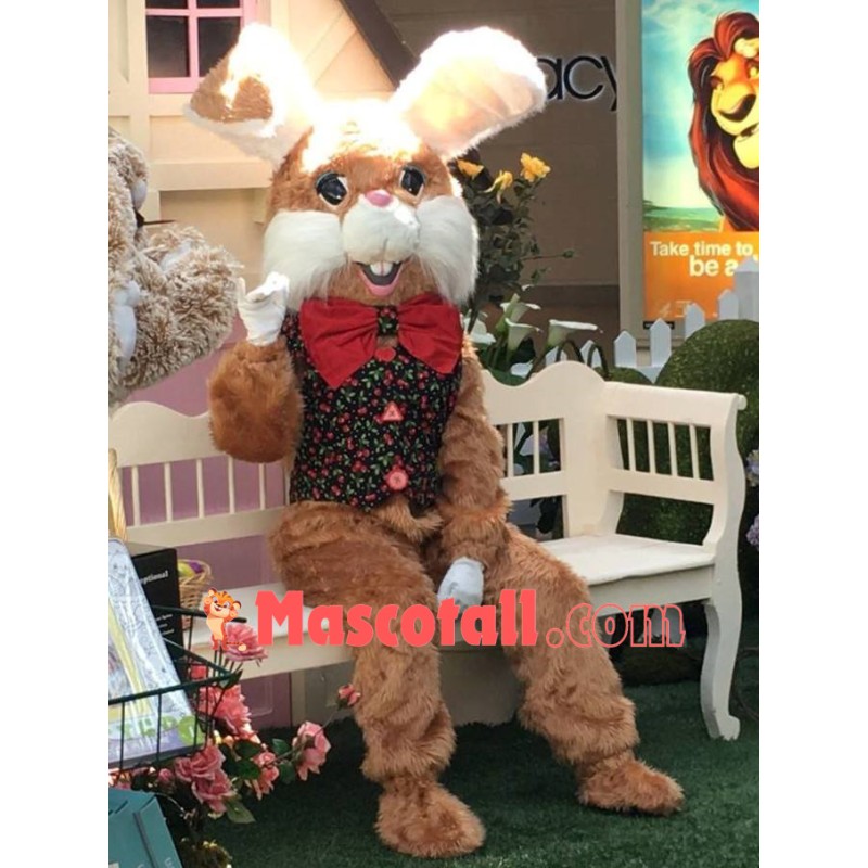 Friendly Easter Bunny Mascot Costume