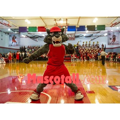 Superb College Sport Wolf Mascot Costume