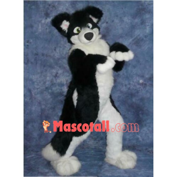 Black Border Collie Husky Dog Mascot Costume
