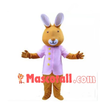 Rabbit Cartoon Mascot Costume