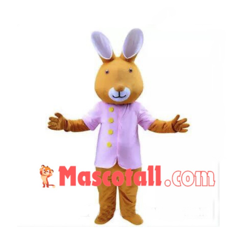 Rabbit Cartoon Mascot Costume