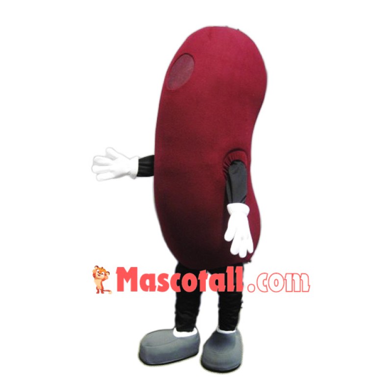 Kidney Mascot Costume