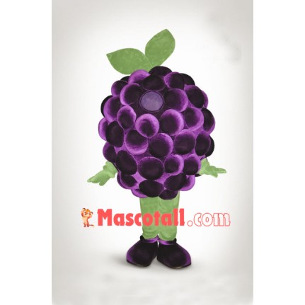 Top Quality Grape Mascot Costume