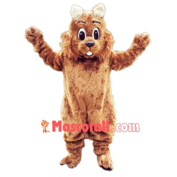 Top Quality Squirrel Mascot Costume