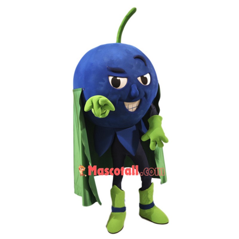 High Quality Blueberry Mascot Costume