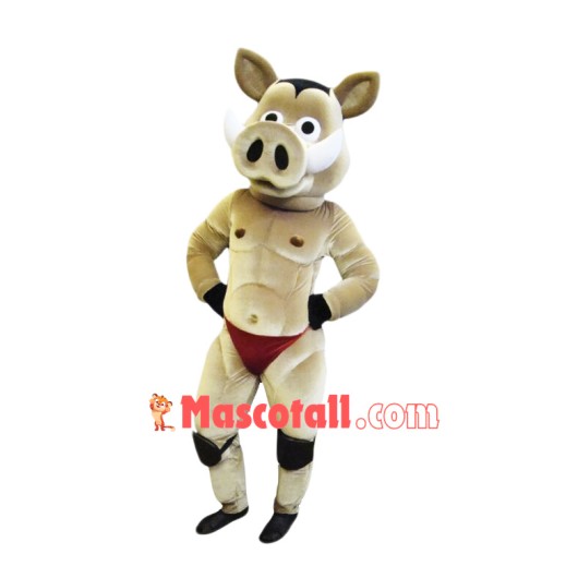 Power Hedgehog Mascot Costume