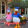 Love Donald Duck Couple Mascot Adult Plush Costume