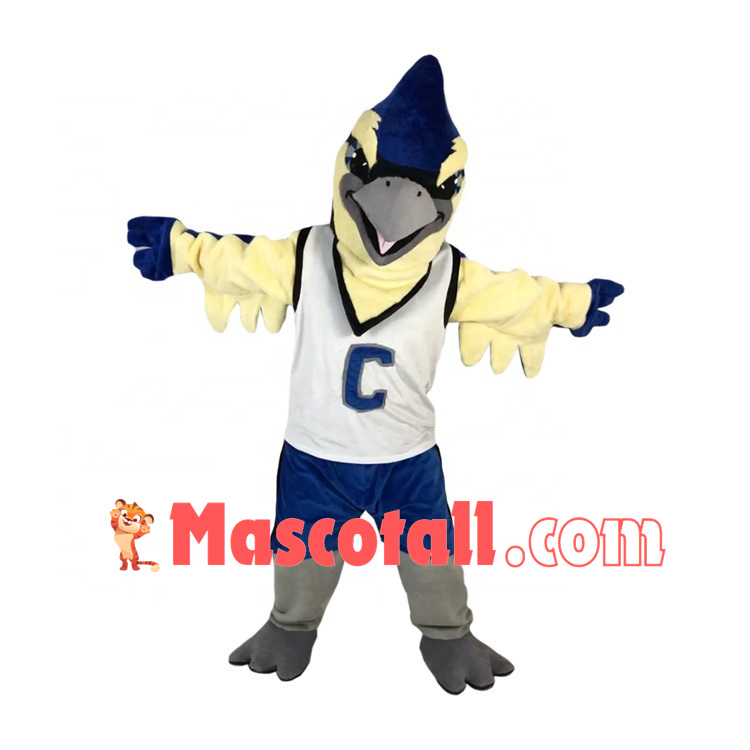 College Falcon of Basketball Team Mascot Costume