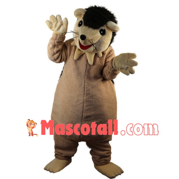 Plush Hedgehog Showing The Body Mascot Costume