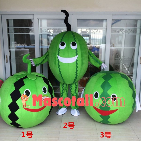 Different Version of Cartoon Watermelon Mascot Costume