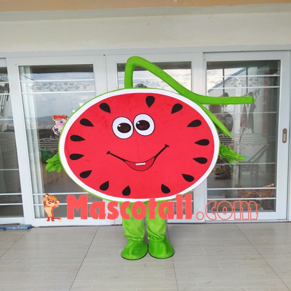 Half Cartoon Watermelon With Vines Mascot Costume