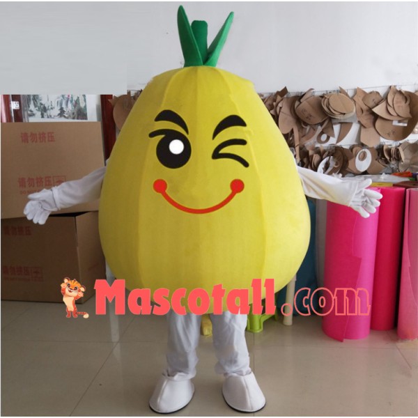 Cartoon Version Big Grapefruit Mascot Costume