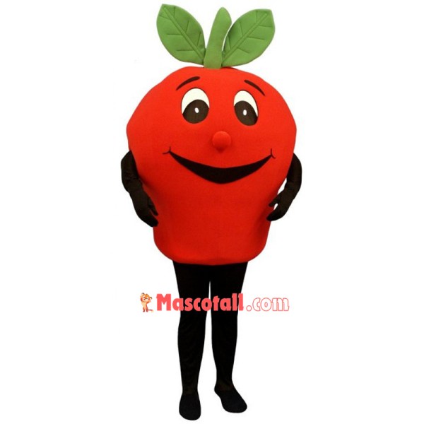 Cute Red Apple Mascot Costume