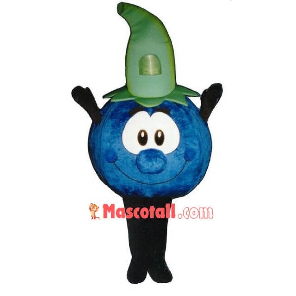 Cute Blueberry Mascot Costume