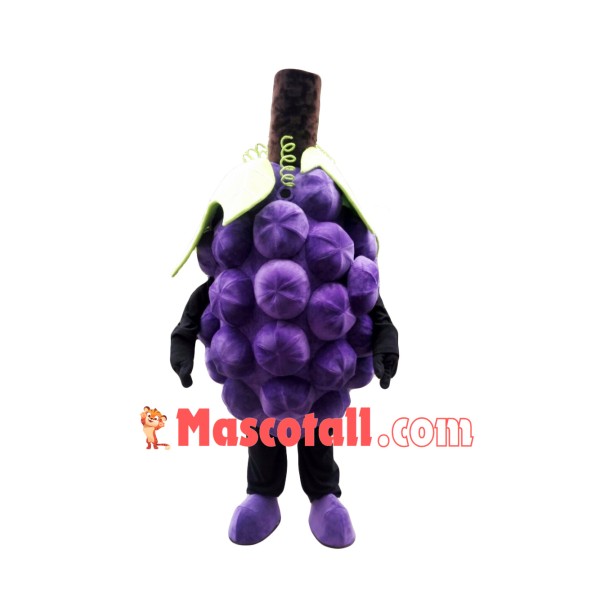 High Quality Grape Mascot Costume
