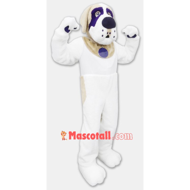 Lovely St. Bernard Dog Mascot Costume