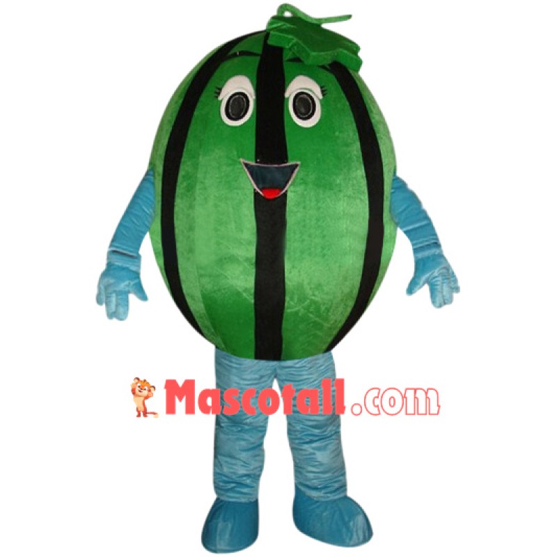 Affordable Watermelon Mascot Costume