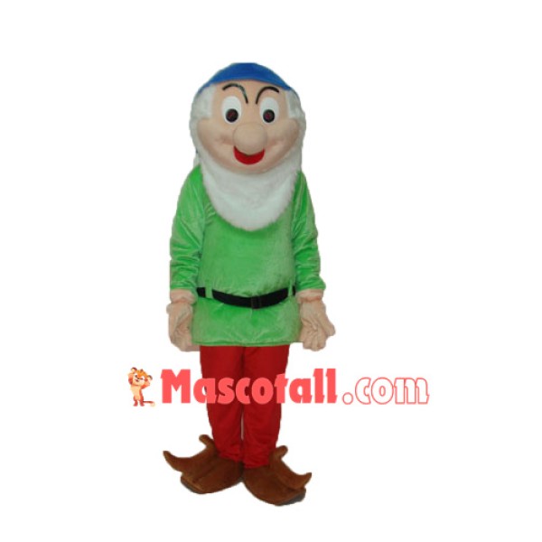 Dwarfs 1 Mascot Adult Costume