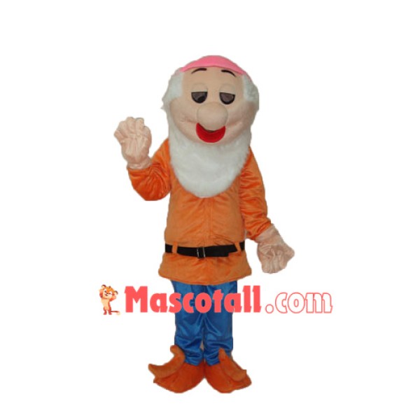 Dwarfs 5 Mascot Adult Costume