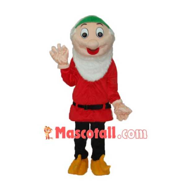 Dwarfs 6 Mascot Adult Costume